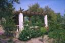 terrasse et jardin