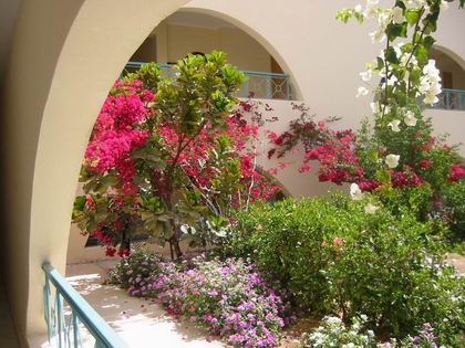 Jardin de notre hotel  Hurghada !