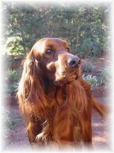 notre fid�le Reine