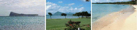 locations Impala � Mont Choisy