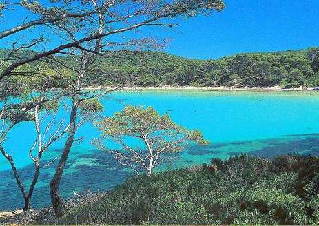 ile de Porquerolles