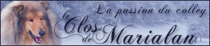 les beaux toutous de nos amis Marie et Alain 