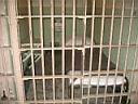 un cellule � Alcatraz !