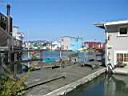 Baie de san Francisco : Sausalito : les "house-boats" !