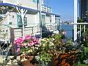 Sausalito "house-boats"