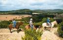Bandera Texas les cow boys 